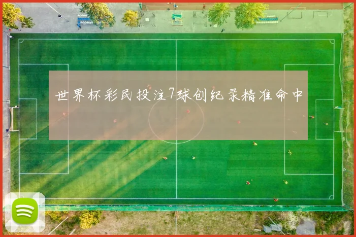 世界杯彩民投注7球创纪录精准命中