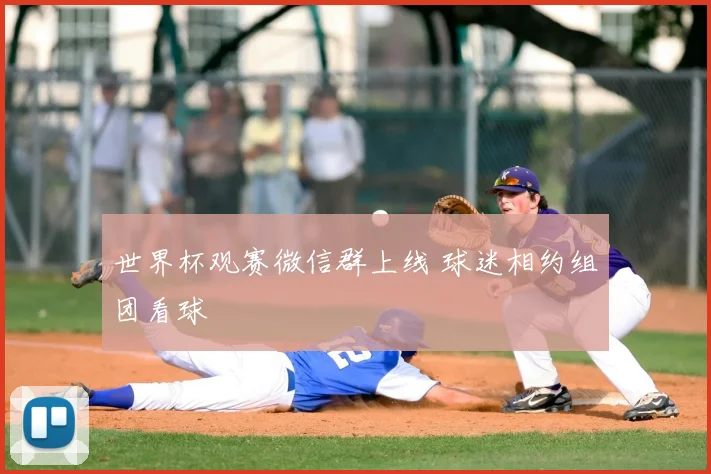 世界杯观赛微信群上线 球迷相约组团看球
