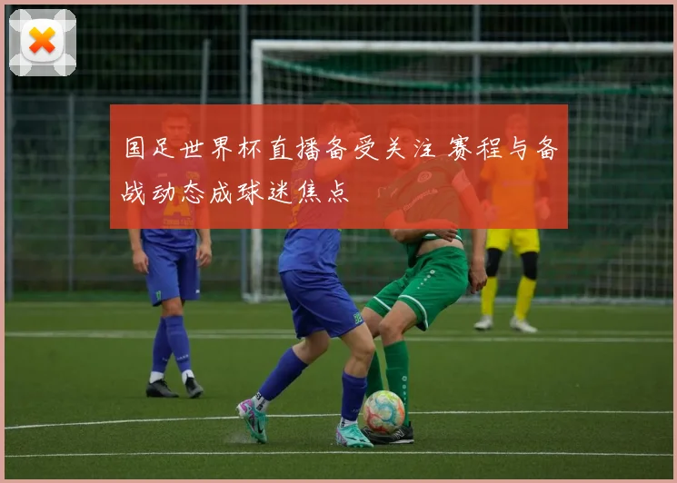 国足世界杯直播备受关注 赛程与备战动态成球迷焦点