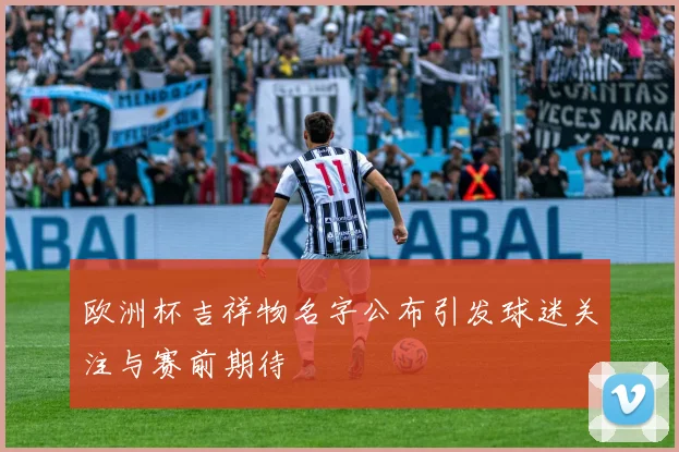 欧洲杯吉祥物名字公布引发球迷关注与赛前期待