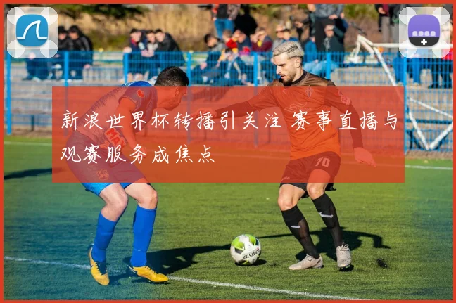 新浪世界杯转播引关注 赛事直播与观赛服务成焦点
