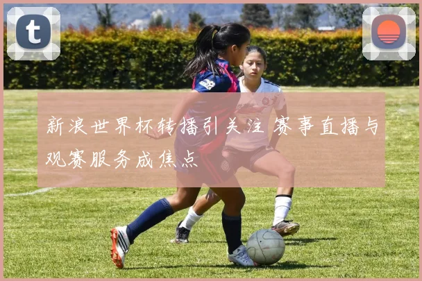 新浪世界杯转播引关注 赛事直播与观赛服务成焦点