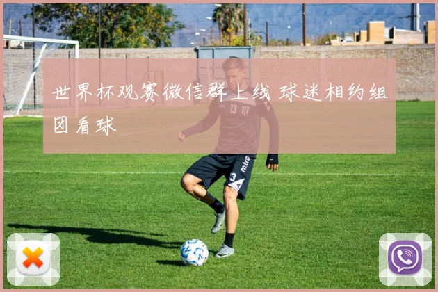 世界杯观赛微信群上线 球迷相约组团看球