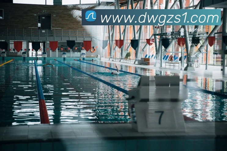 世界杯官网登录app平台生态图